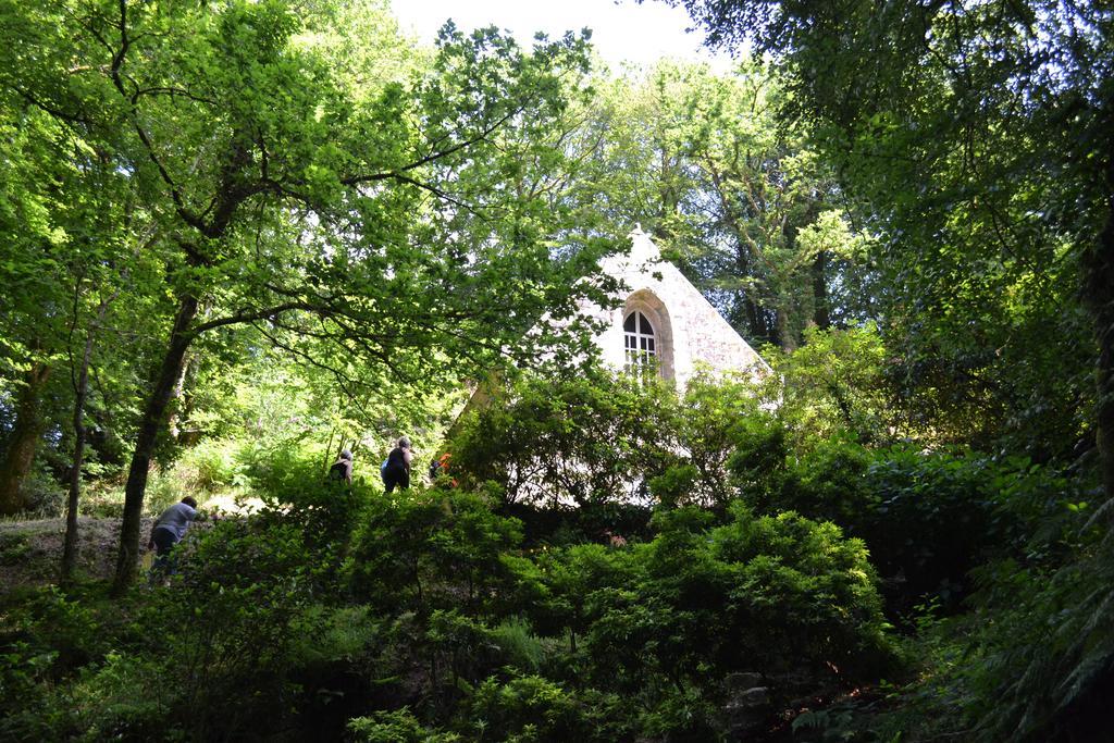 Le Gite De L'Araucaria Ploërdut Exteriör bild